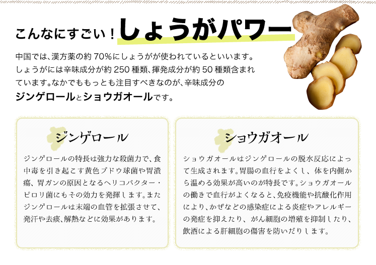 こんなにすごい生姜パワー